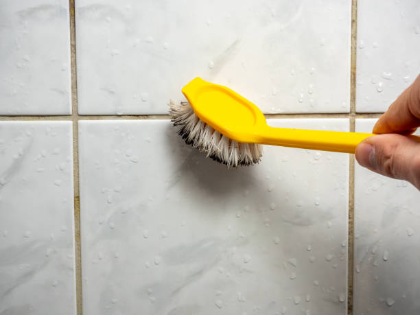 Best Affordable Mold Removal  in Melbourne, FL