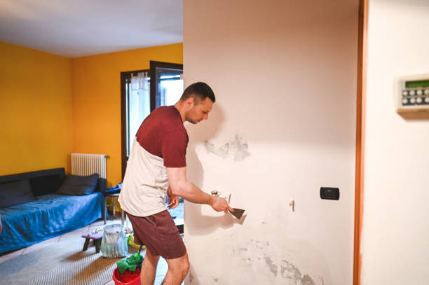 Best Office Mold Removal Services  in Melbourne, FL